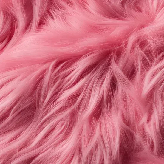 Cover projet Bark'n'bone.