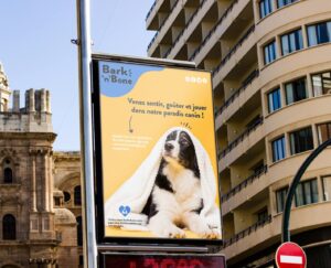 Affiche alimentation canine