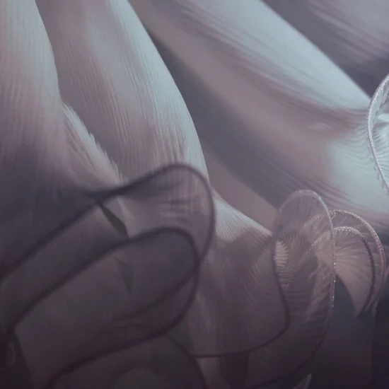 Clara Nwk project : photographe de mariage