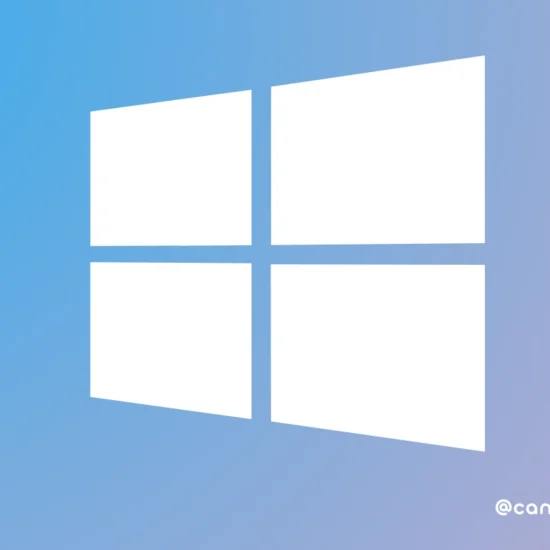 Windows 11 : guide express